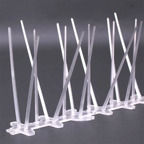 plastic spikes for birds